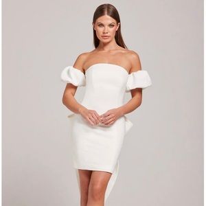 NWT Nadine Merabi Emilee Dress